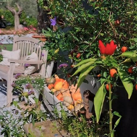Casa Autunno Hotell Monzambano Eksteriør bilde